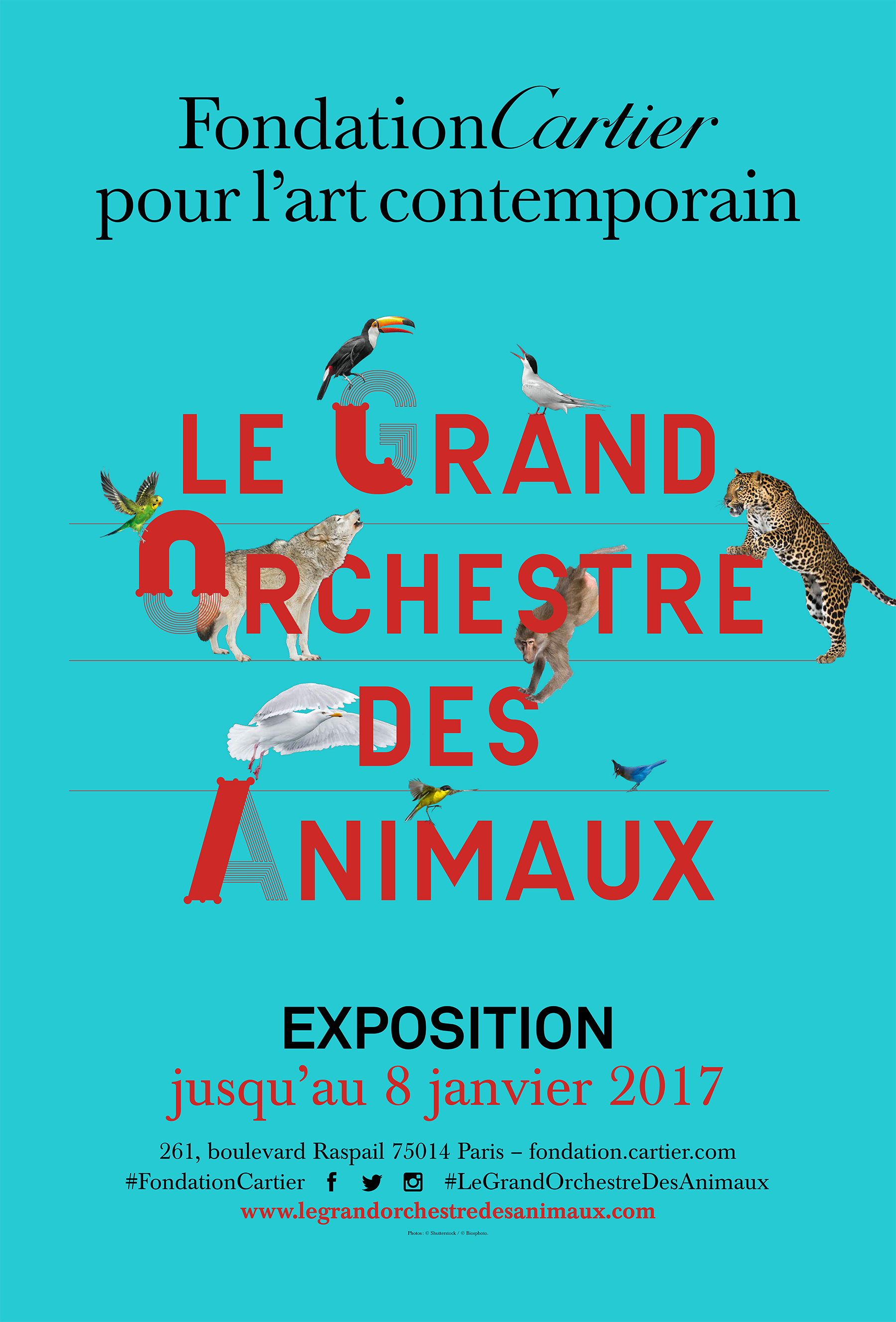 Le Grand Orchestre des Animaux